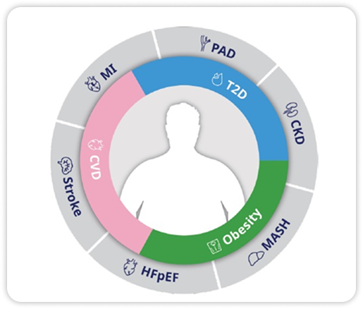 World Diabetes Day at Novo Nordisk Israel